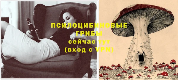 прущие грибы Алексин