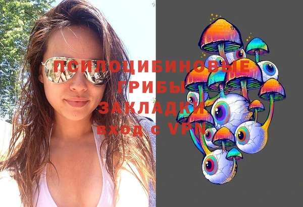 прущие грибы Алексин